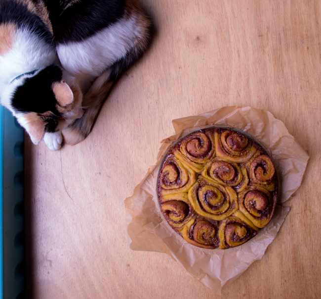 Pumpkin Cinnamon Rolls 3