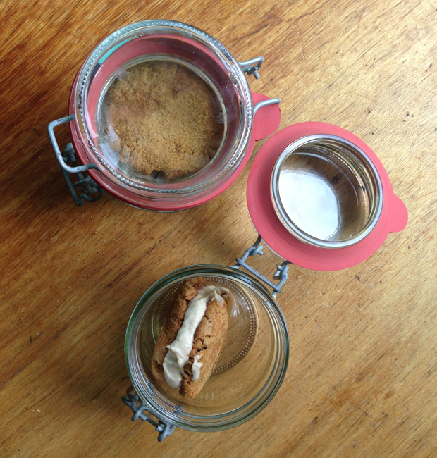 icecreamsandwich1