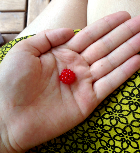 mysteryberry4