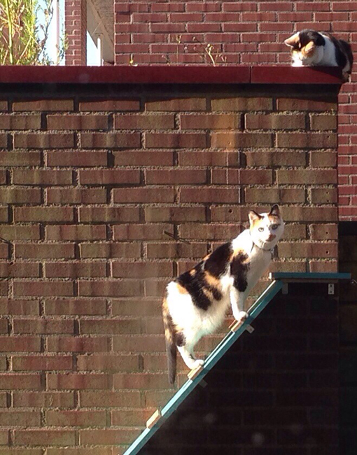 stairs
